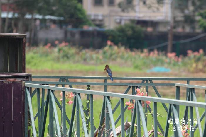 IMG_5095.JPG IMG_5095.JPG