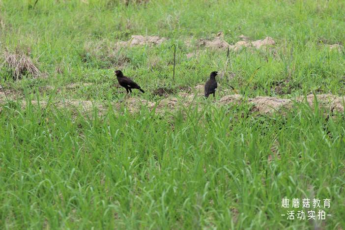 IMG_5163.JPG IMG_5163.JPG