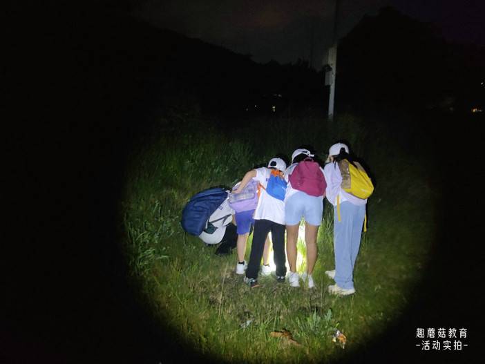 IMG_20230814_193206.jpg IMG_20230814_193206.jpg