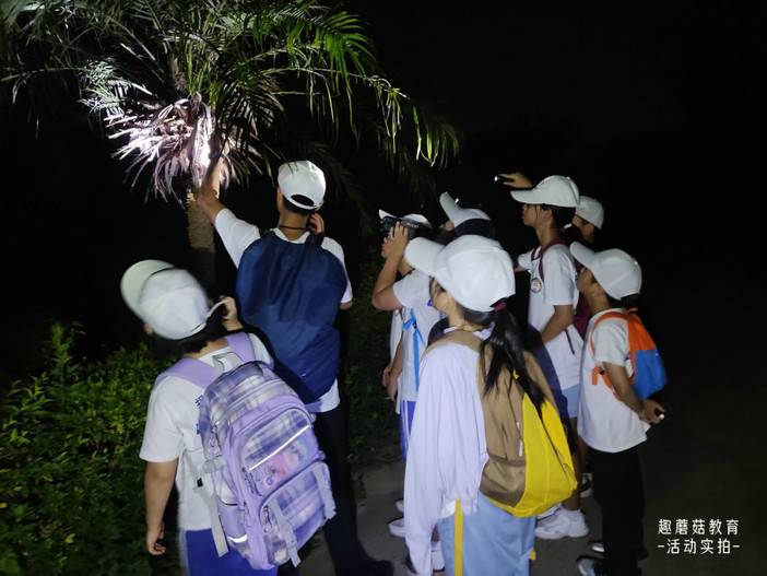 IMG_20230814_195559.jpg IMG_20230814_195559.jpg