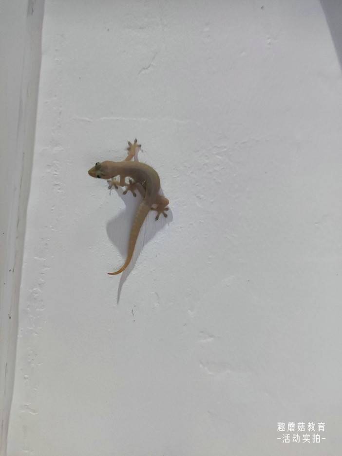 IMG_20230814_191737.jpg IMG_20230814_191737.jpg