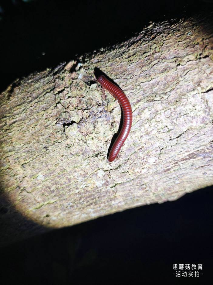 IMG_20230814_193707.jpg IMG_20230814_193707.jpg