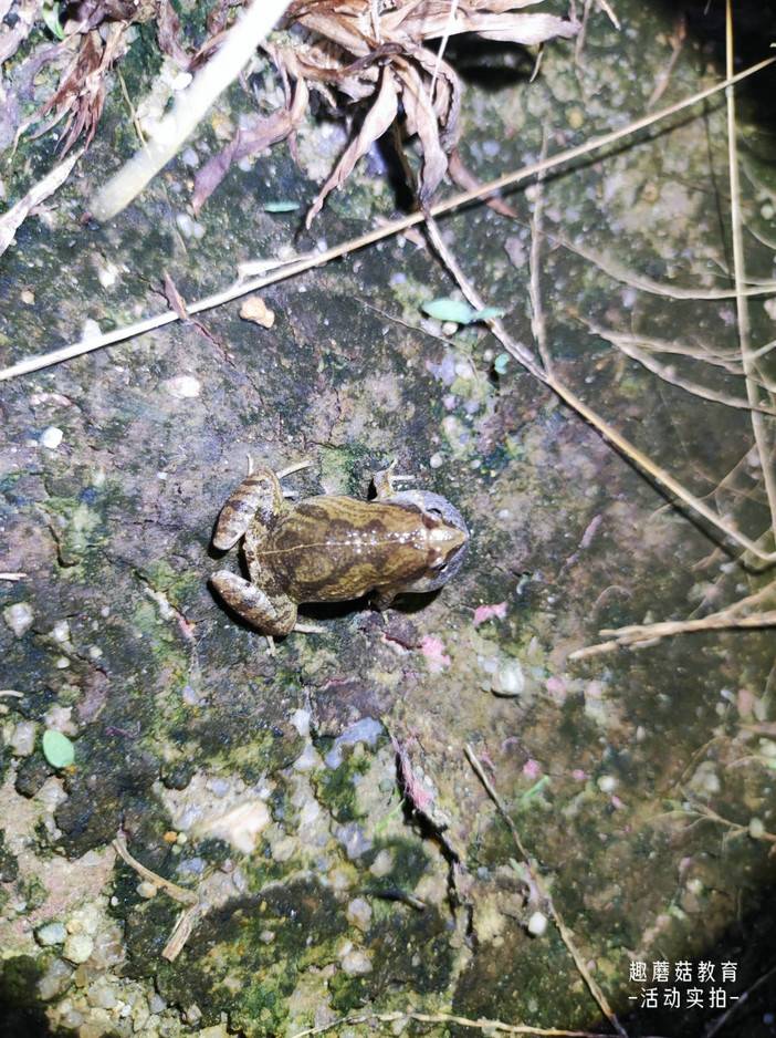 IMG_20230814_200747.jpg IMG_20230814_200747.jpg