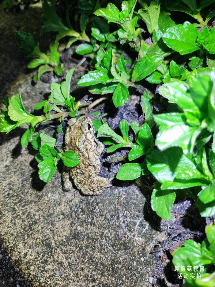 IMG_20230814_201426.jpg IMG_20230814_201426.jpg