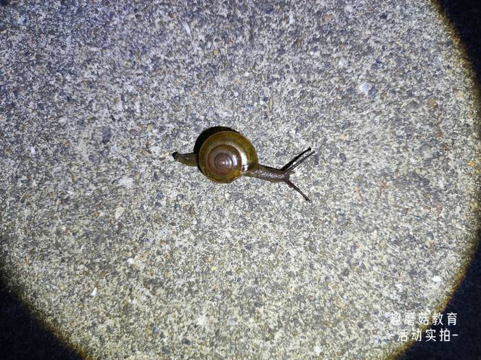 IMG_20230814_200444.jpg IMG_20230814_200444.jpg