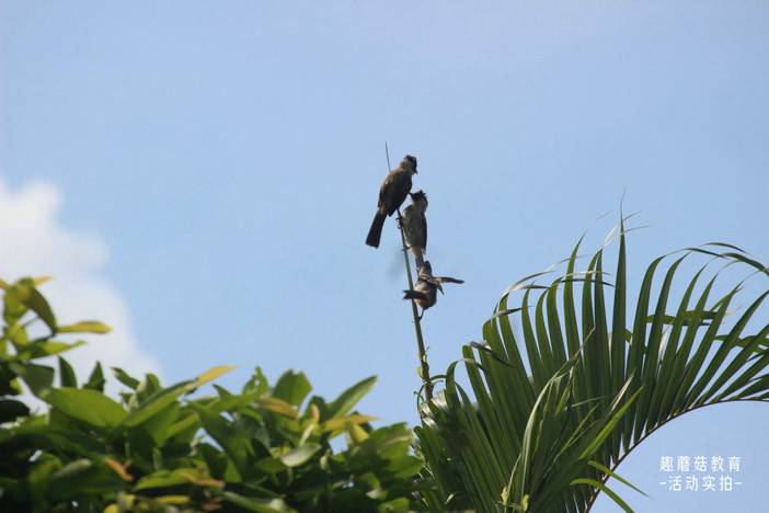 IMG_6975.JPG IMG_6975.JPG