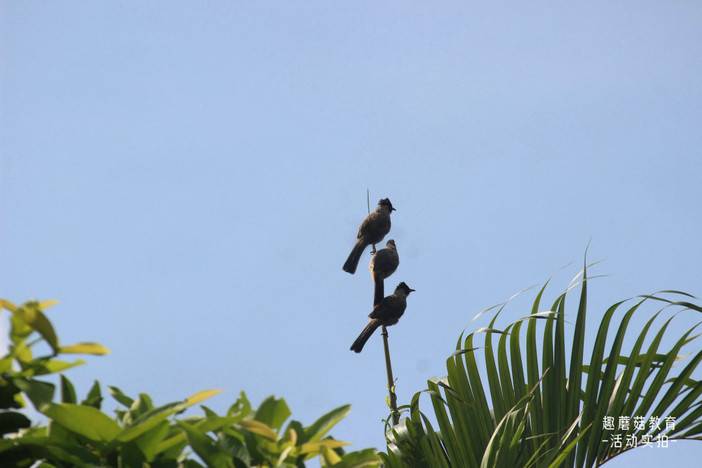 IMG_6980.JPG IMG_6980.JPG