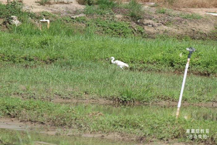 IMG_7021.JPG IMG_7021.JPG