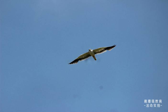 IMG_7047.JPG IMG_7047.JPG