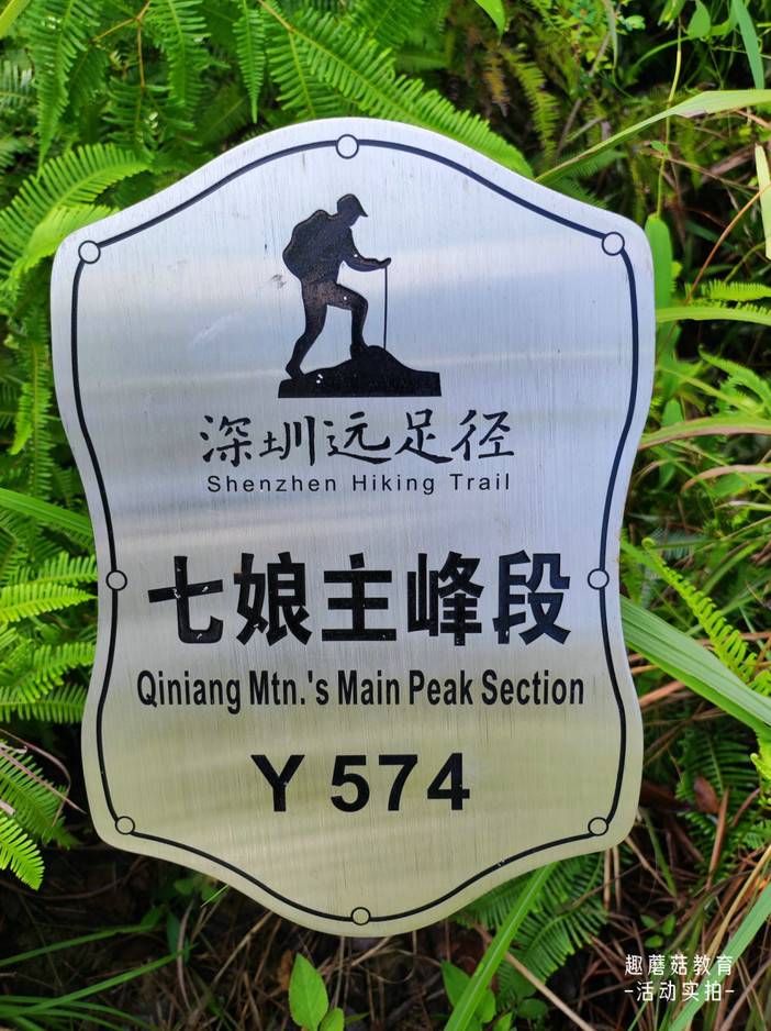 IMG_20230816_094852.jpg IMG_20230816_094852.jpg