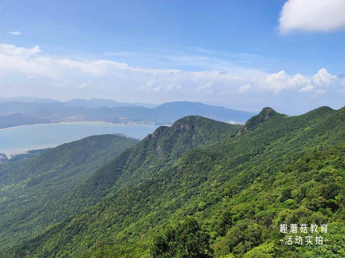 IMG_20230816_141318.jpg IMG_20230816_141318.jpg