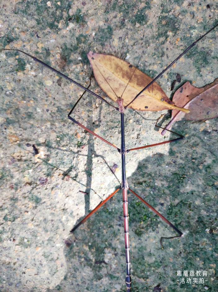 IMG_20230816_093728.jpg IMG_20230816_093728.jpg