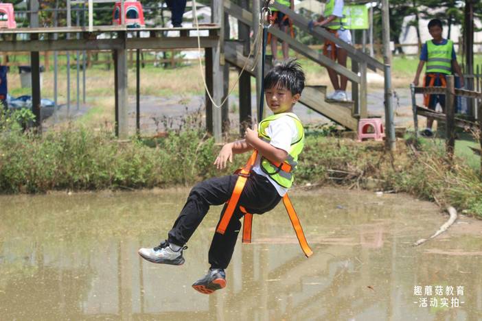 IMG_8208.JPG IMG_8208.JPG