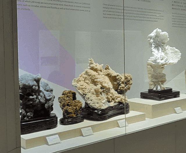 640x525_tutieshi_640x1137_2s (2).gif