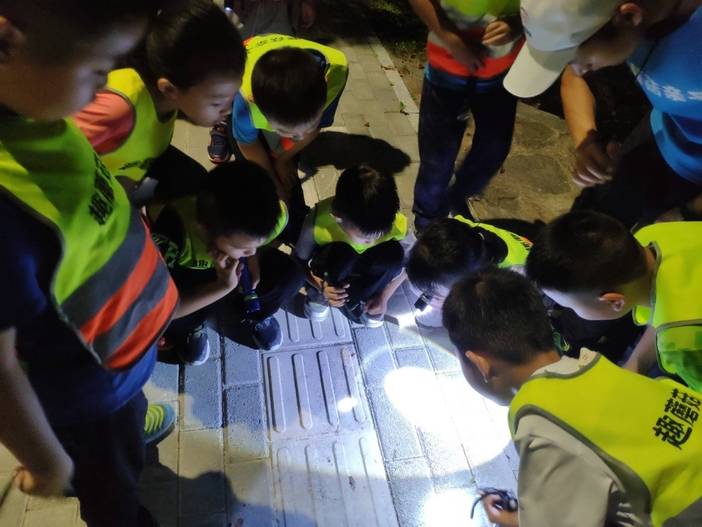 IMG_20190716_194508.jpg IMG_20190716_194508.jpg