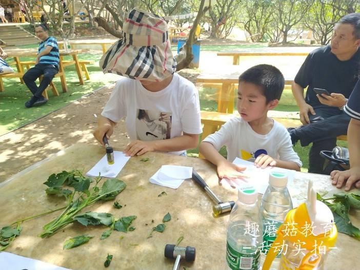 IMG_20210504_141600.jpg IMG_20210504_141600.jpg