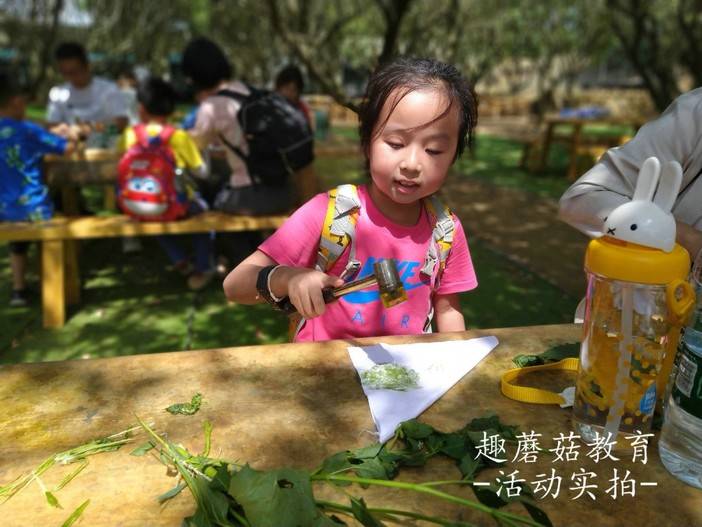 IMG_20210504_141737.jpg IMG_20210504_141737.jpg