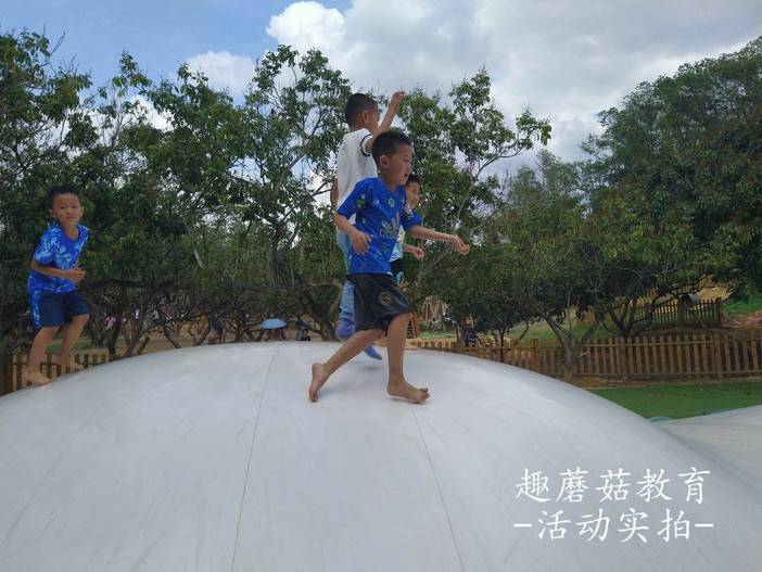 IMG_20210504_143930.jpg IMG_20210504_143930.jpg