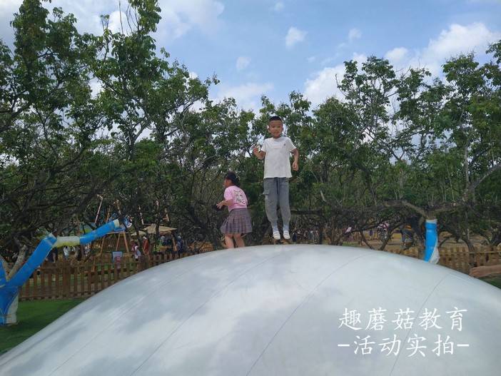 IMG_20210504_143608.jpg IMG_20210504_143608.jpg