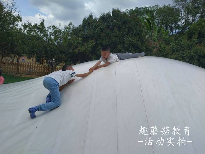 IMG_20210504_144029.jpg IMG_20210504_144029.jpg