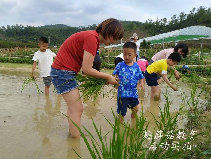 IMG_20210504_161224.jpg IMG_20210504_161224.jpg