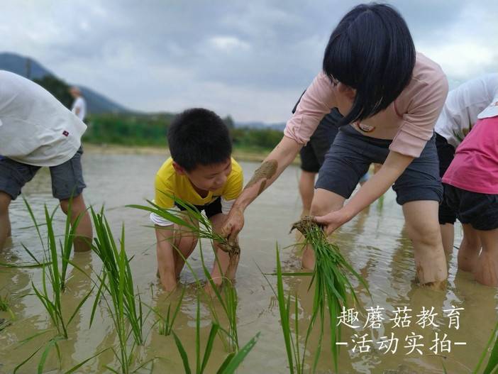 IMG_20210504_161244.jpg IMG_20210504_161244.jpg