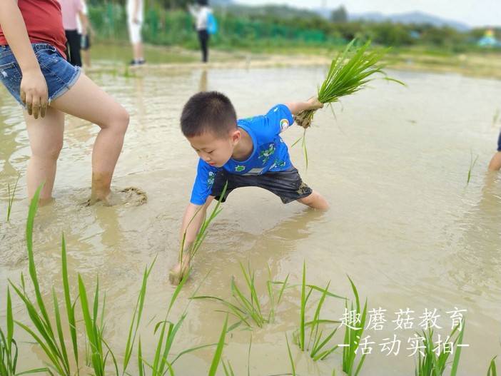 IMG_20210504_161427.jpg IMG_20210504_161427.jpg