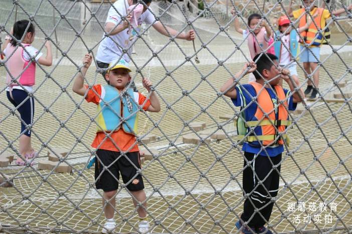 IMG_6568.JPG IMG_6568.JPG