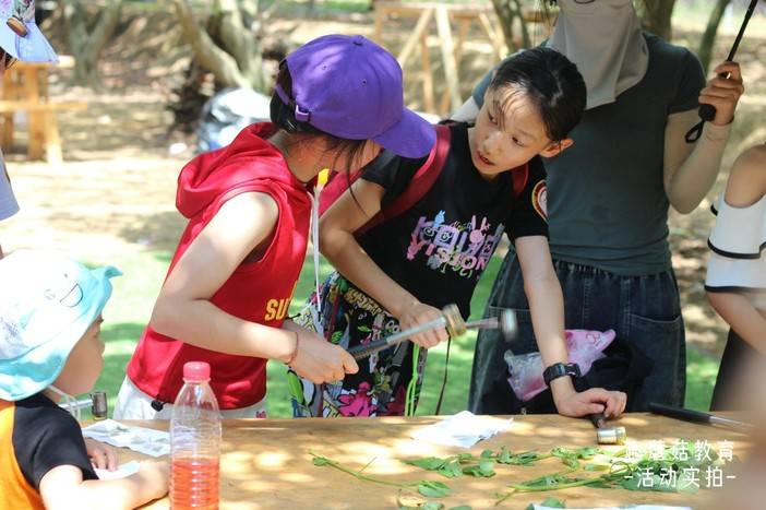 IMG_6408.JPG IMG_6408.JPG