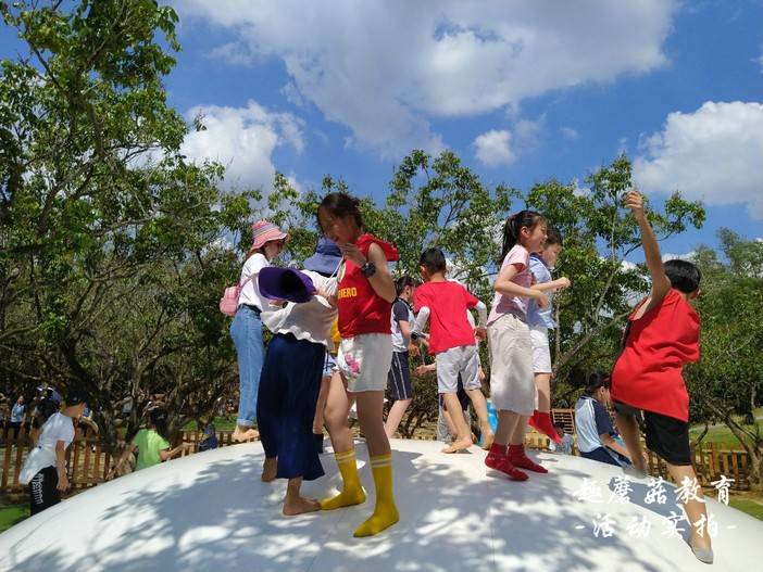 IMG_20210515_143507.jpg IMG_20210515_143507.jpg