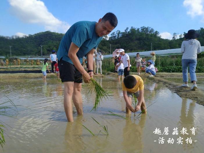 IMG_20210515_163747.jpg IMG_20210515_163747.jpg