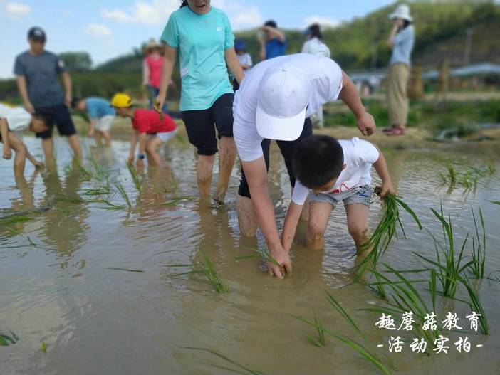 IMG_20210515_163850.jpg IMG_20210515_163850.jpg