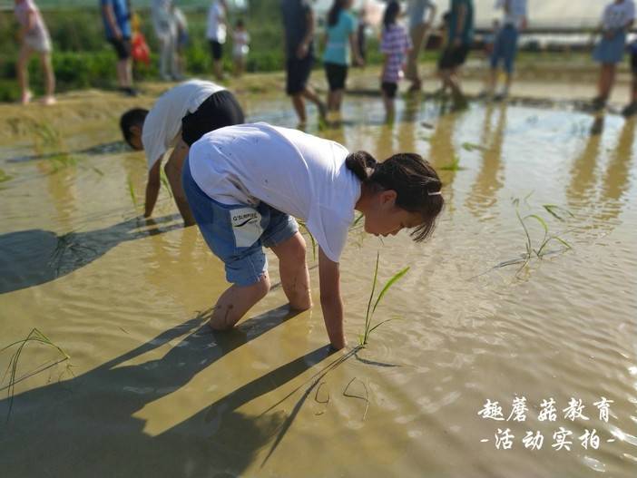 IMG_20210515_164030.jpg IMG_20210515_164030.jpg