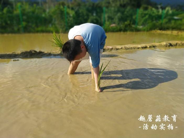 IMG_20210515_164035.jpg IMG_20210515_164035.jpg