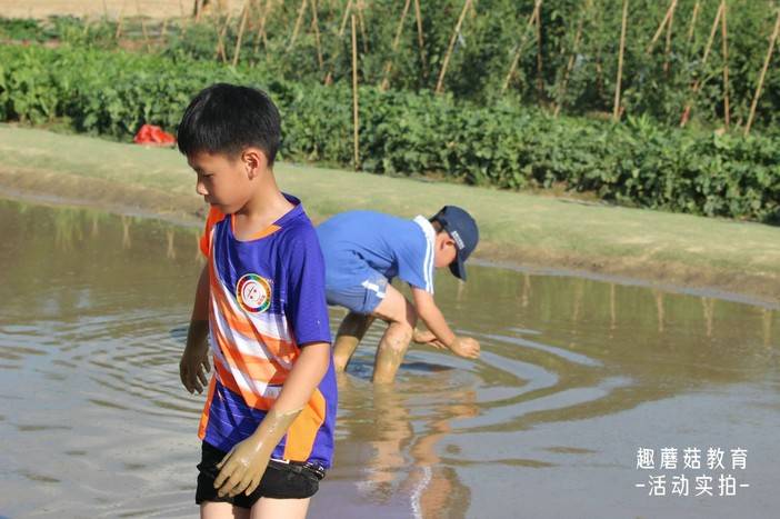 IMG_6781.JPG IMG_6781.JPG