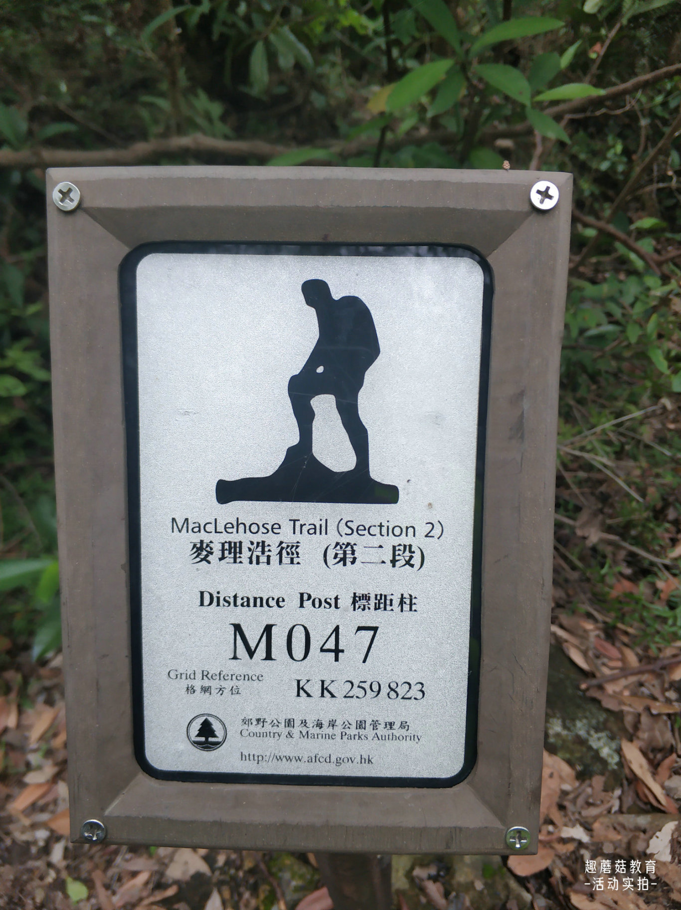 IMG_20190503_155245.jpg