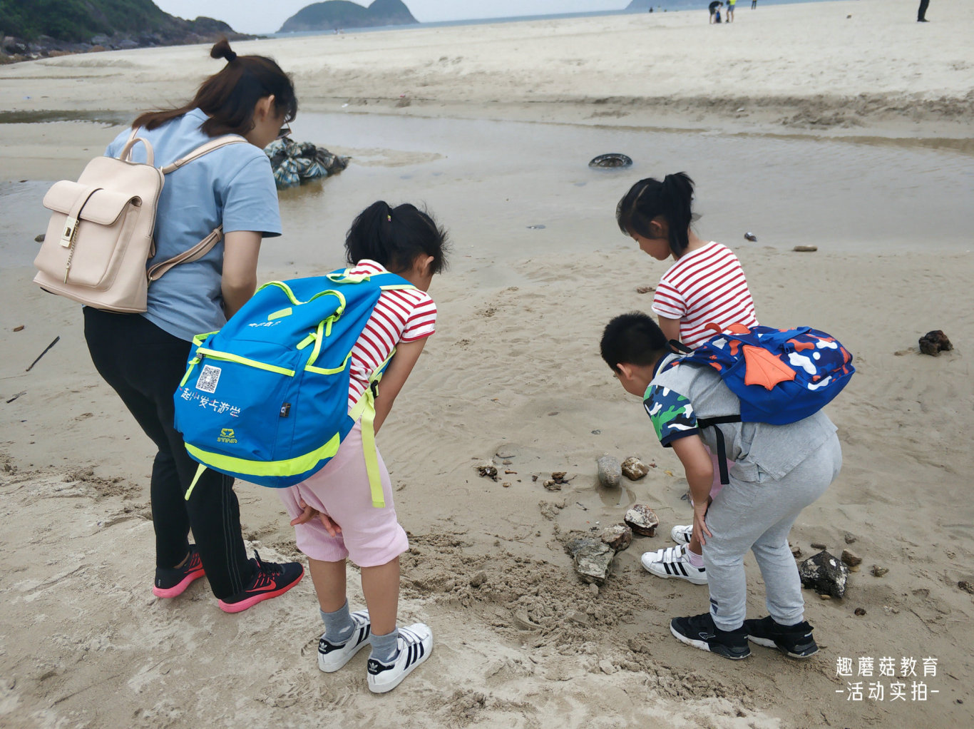IMG_20190503_135324.jpg