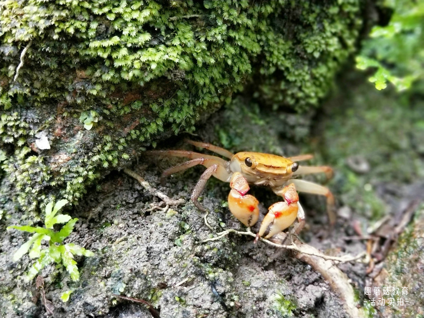 IMG20190502095311.jpg