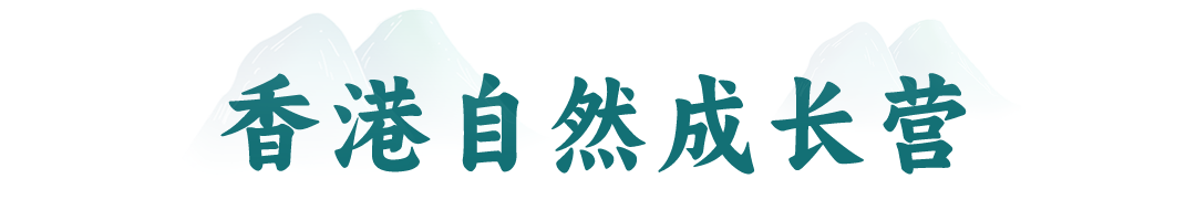 香港露营031.png