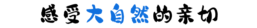 13.png