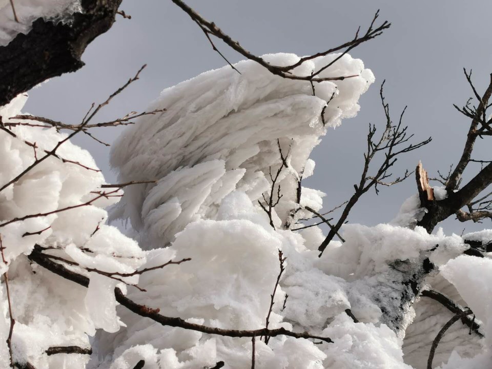 v1NDnCFA_jUuMqzqWJrKCsl-Sm_UcV_qV0mxNvvcNJN-ZP_JlYF0ojBtCflZcG6X