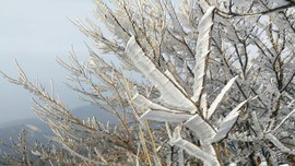 FrEML9PR_VS-X0GBjJdWV8oUB_ObDyIKCc0cGUtLtLDg5A2WB7gkPbjk0Ez4XFN9