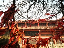 g7B6y_emL06ai56_WnQCLrXLAWy1b2-ATr1BcTRhYHcfb52fALQ2BNZ0FjJLq2YA