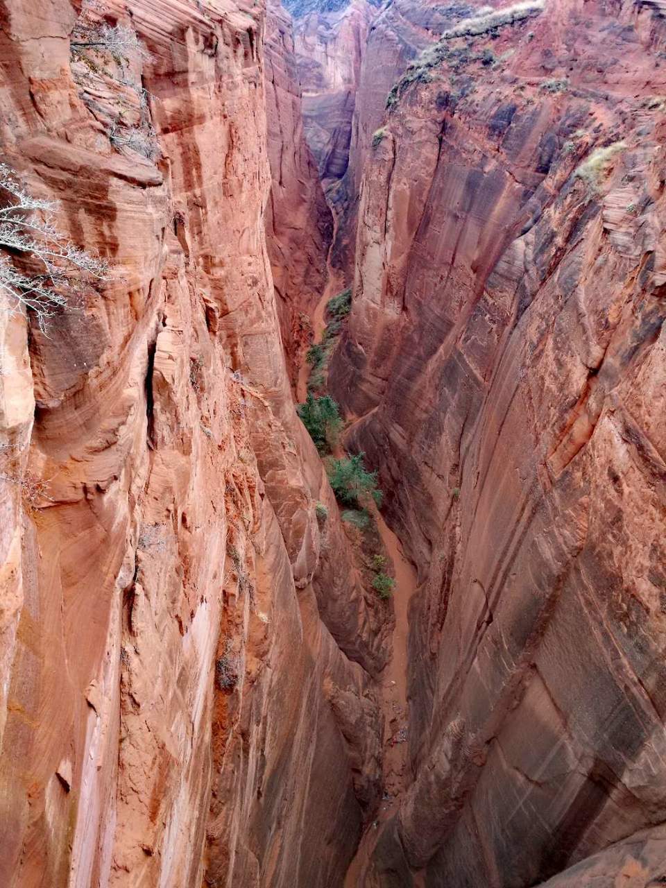 B1GBSX-F_NUm5MU_n8UQOCcJKtNMH7Ro0UlBsLk9I96ugfvNeVgplp5DU3b50AAW