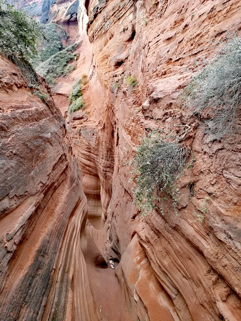 MGQ1qNW8BsFLI22pc_JI7JPjtrntWoNrWwePjPA7YDbOnKDlAkW_s_p-D0GDToTl