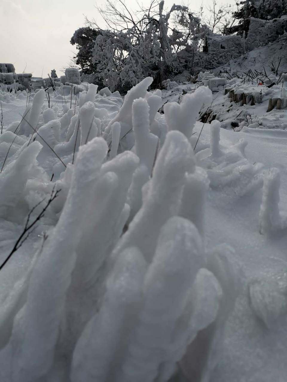 uyUTcxrUQZUe2CHrXHeG2M0e0wLTZy8f7brywE-SZc-1q-6OiXFPkdZnz6B3I5Sx