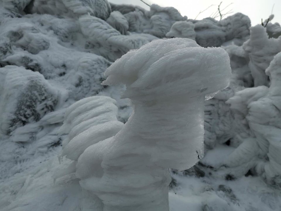 XPL8q2Y9oUvtJw-jmrIk62oiEiwW7FUf6_Vchm1EpegsUCEkUzc6VTco8O5z3KXK