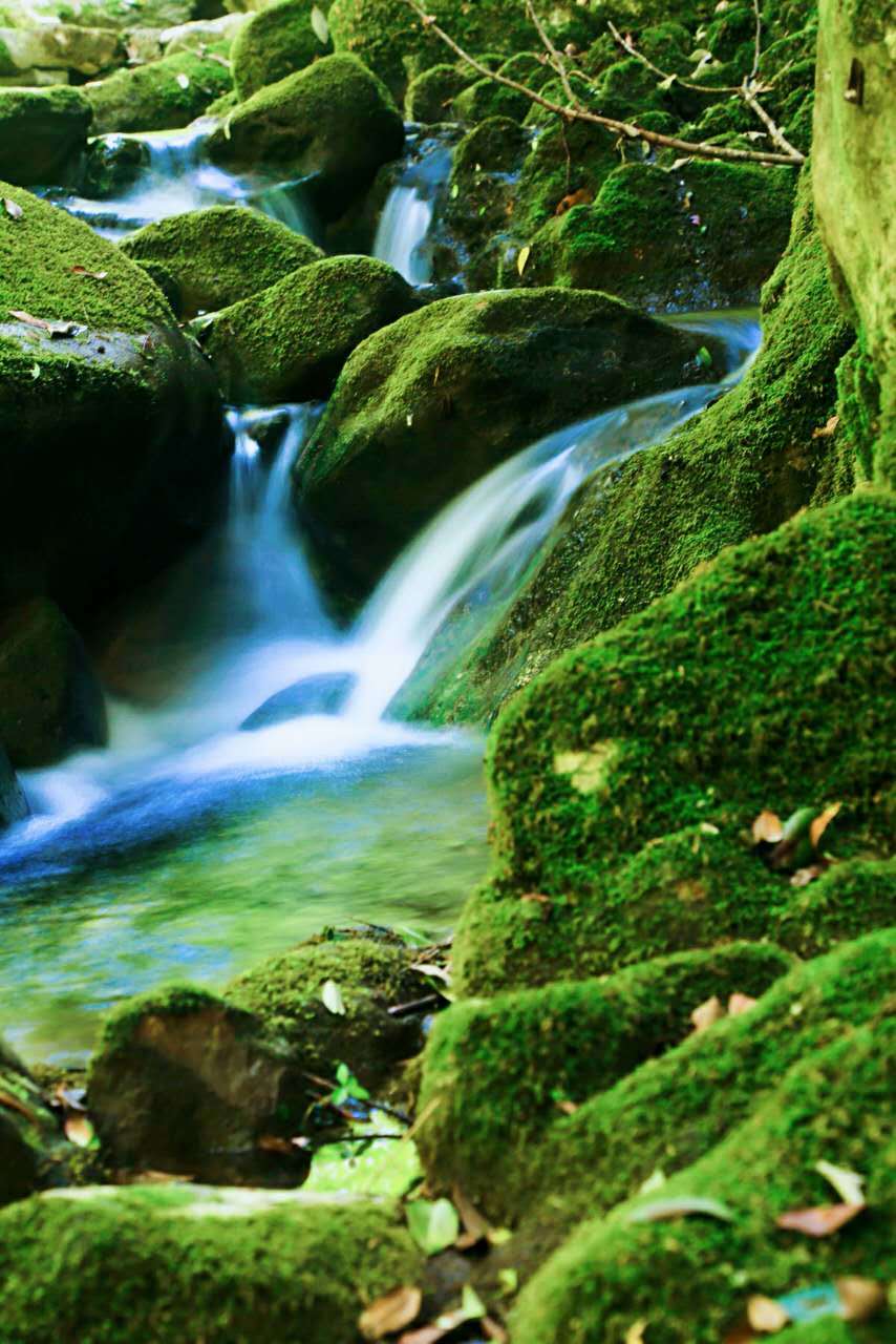 Sgq8zEvOjFx1u7w_0ZHY1NTfO_FO5kiIva3fMBakhZe9ozmtZ4NWZkx7pfSEVrzd