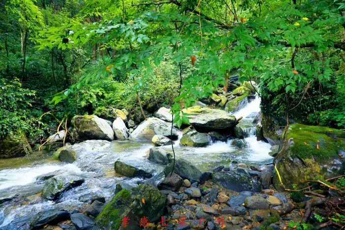 pd-yy5zP94PwkST2ZL4pSXzEZdPIWio1uU27hCSOfzV7hjeFM13CT7-akBfTyJli