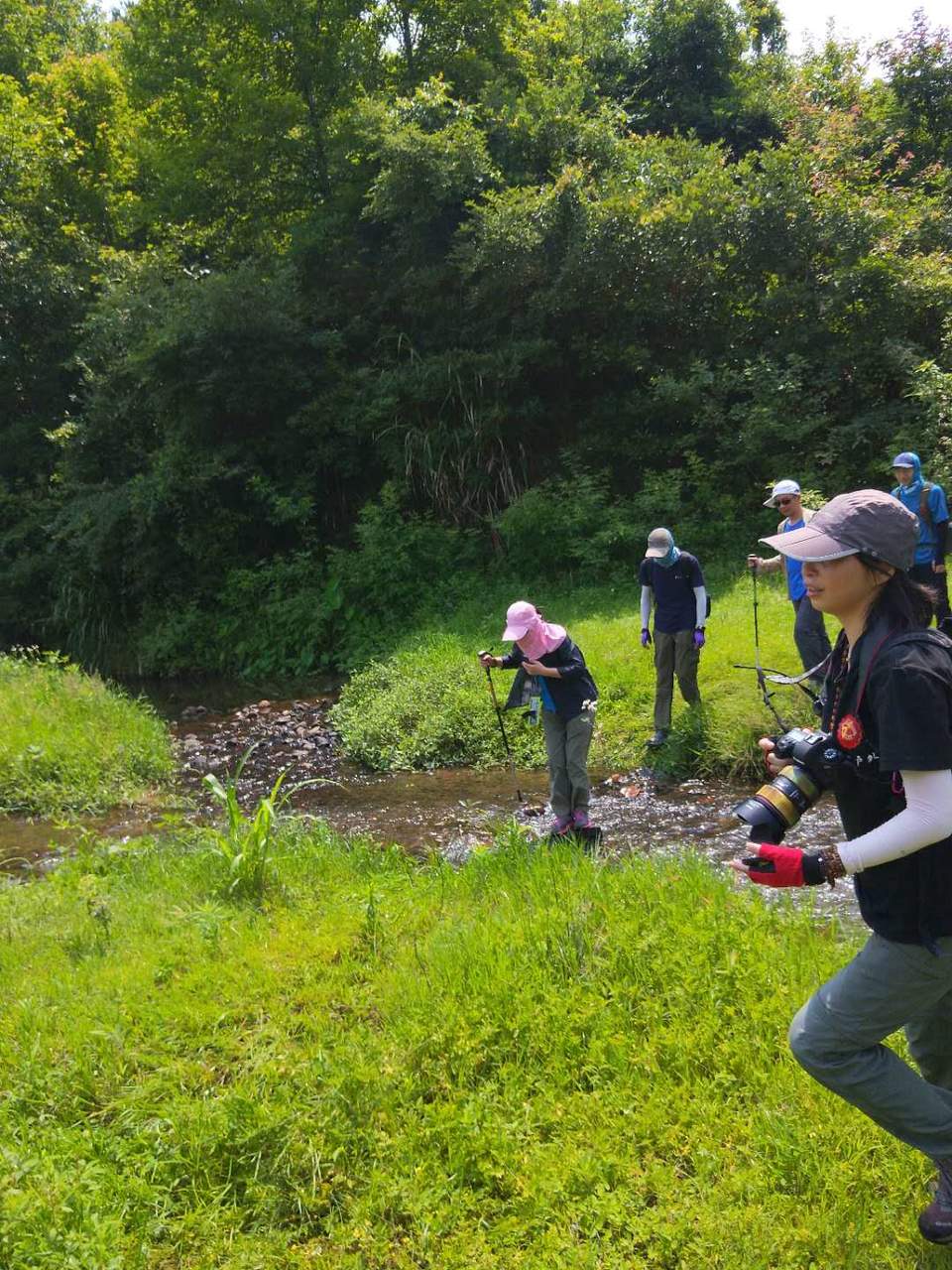 DP_AVsNJLPIpb6siBX-lou1QO_f3P4P6L2ikn_UFA6PGyh8QHC0fg1JrWHJp1219